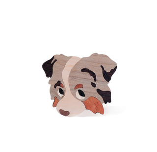 Guilty Pups Blue Merle Aussie